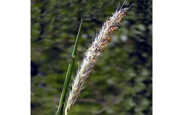  ����ݺ� 084309w91dx0z90100401a