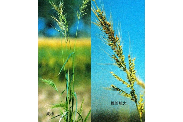  ����ݺ� 084415f4g14yz4zbvozioe