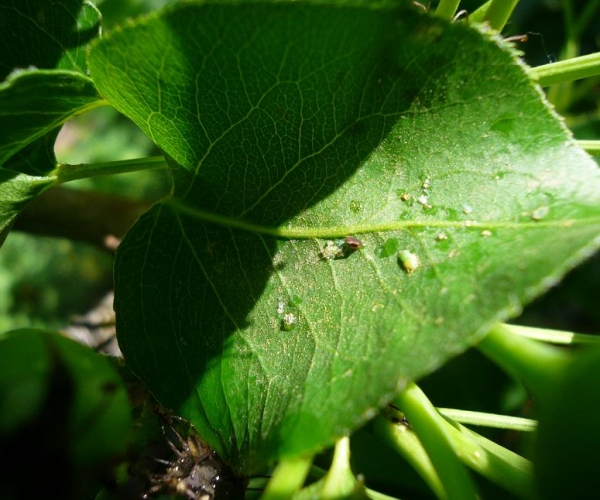  ������̳ forum