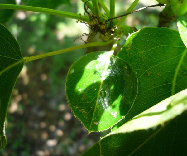  ������̳ forum