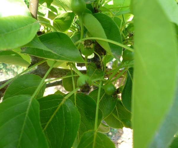  ������̳ forum