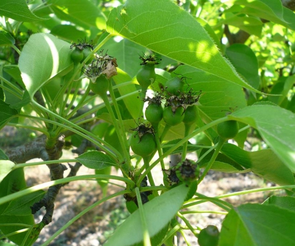  ������̳ forum