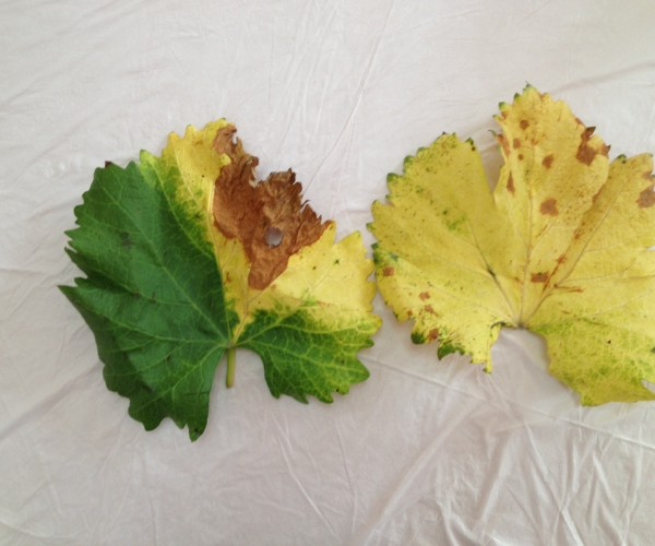  ݺ 120114zu66809998006b2x