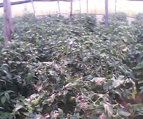  ݺ 054915dhz2di2z2f1cyr1f