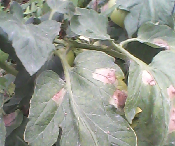  ݺ 054929lwpuio7p8mumiago