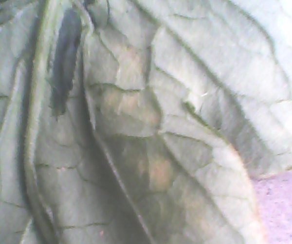  ݺ 0550342j2dmt2sjjm2qnjt