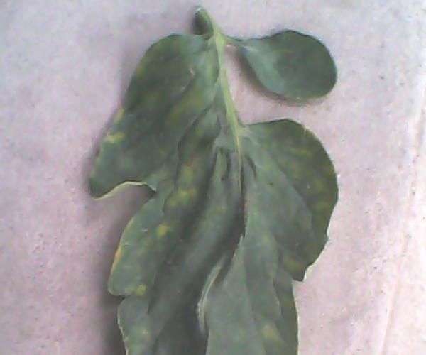  ݺ 055043xofog9pi8m3til89