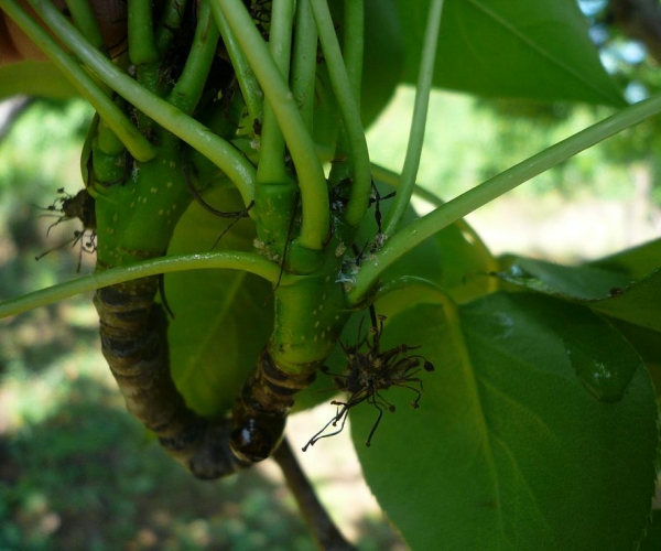  ũ����Ϣ forum