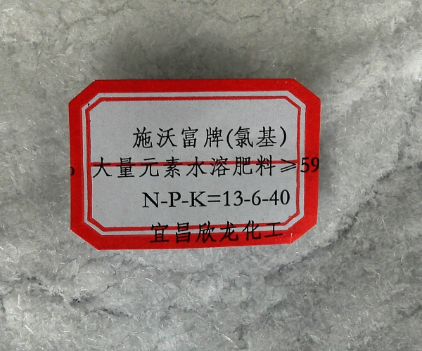  �������ҵ-ׯ���� forum