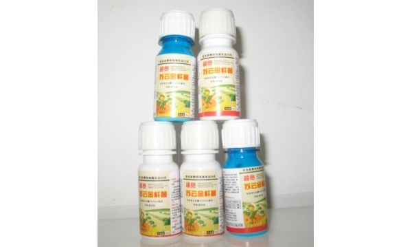  ũ����Ϣ forum