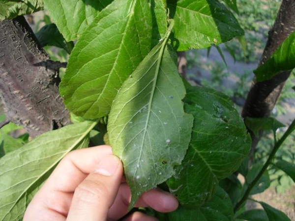  ũ����Ϣ forum