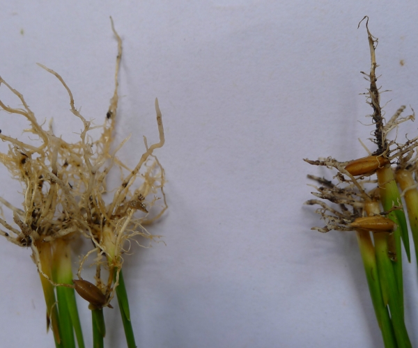  ������̳ forum