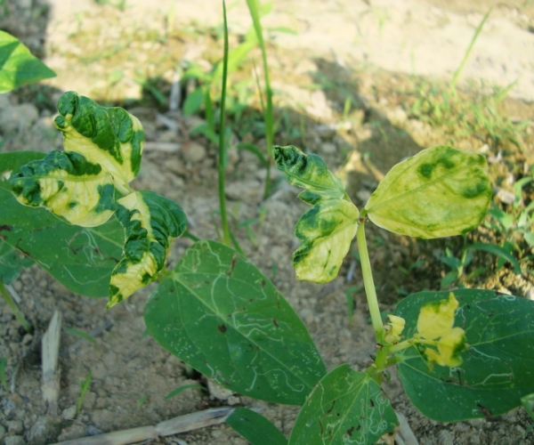  ҩ������ forum