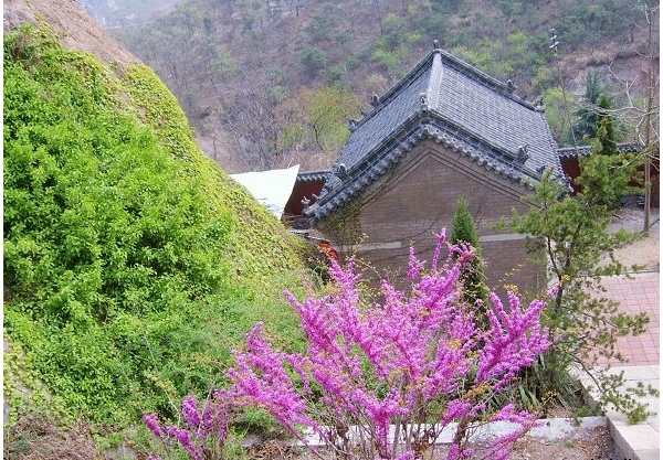  ũҵ���� forum