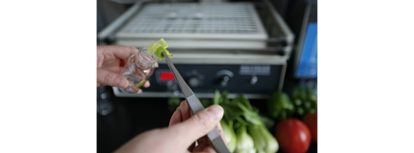  ũ��Ӫ�� forum