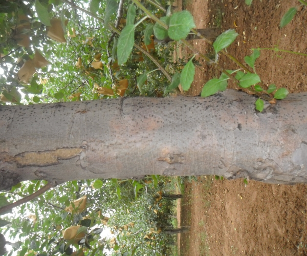  ����ݺ� 124541dwqzfhhkvkqzhq63