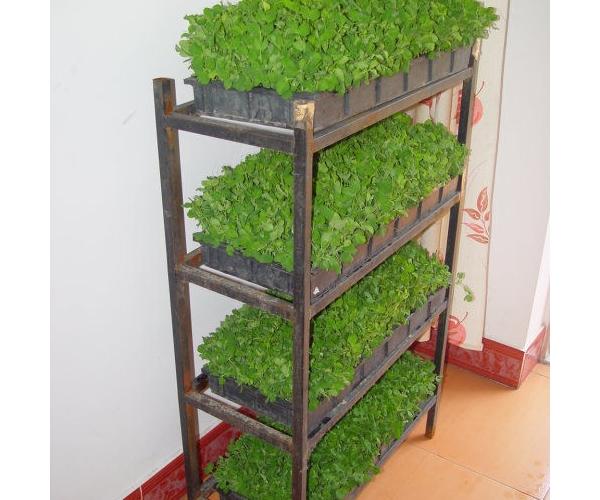  ������̳ forum