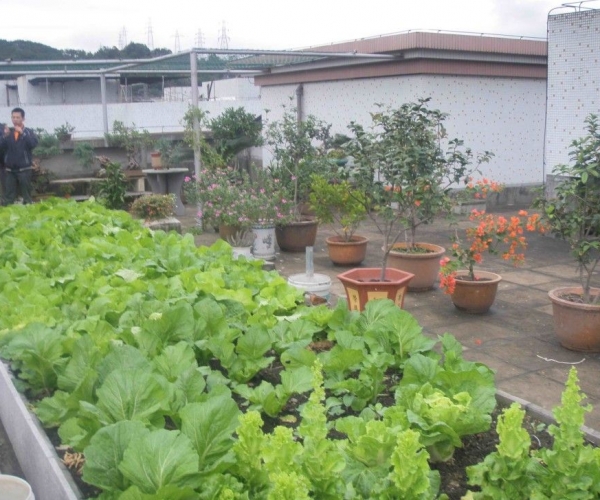  ������̳ forum