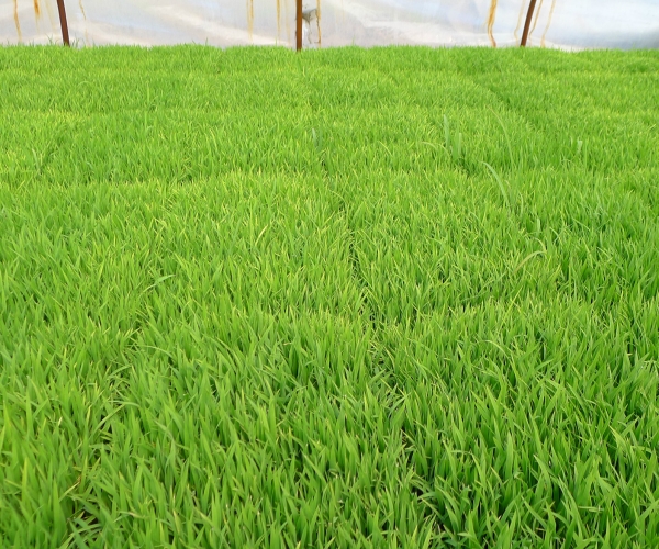  ������̳ forum