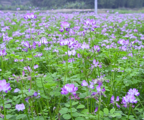  ������̳ forum