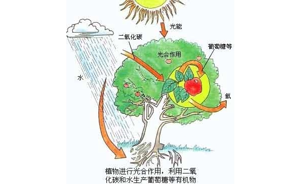  ˮ�ʹ��� forum