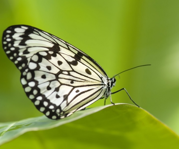  ������̳ forum