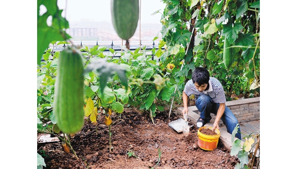  ˮ�ʹ��� forum