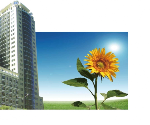  ֲ��ũ�� forum