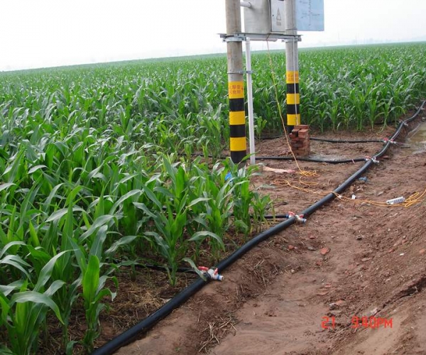  ũ����Ϣ forum