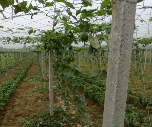  ֲ��ũ�� 225450q1wc0166pwqdoh5w