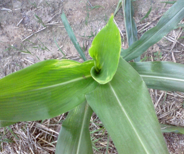  ����ݺ� 231800tj3g333gti7st4zz