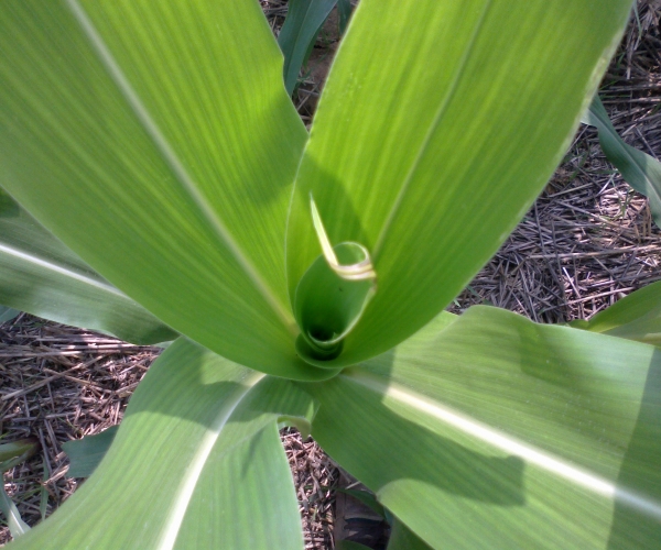  ����ݺ� 2304230urruzc6rrlmqfny