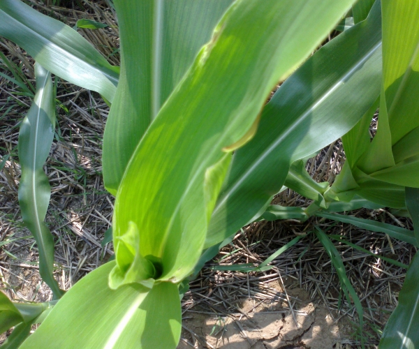  ����ݺ� 231236mcdwmmdbmqznbqxw