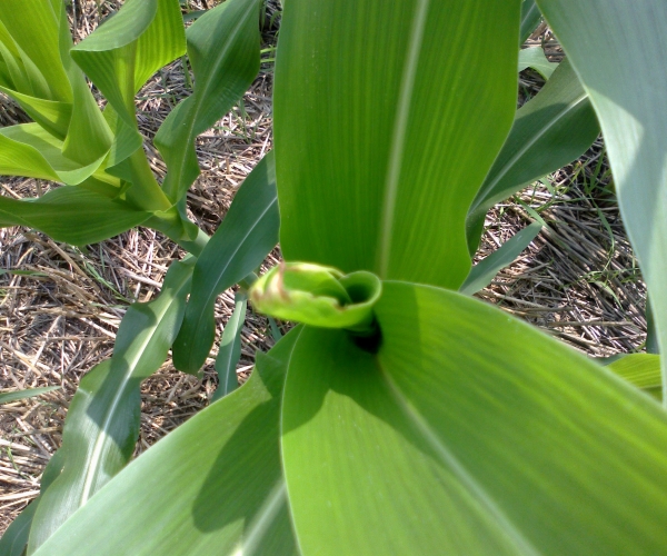  ����ݺ� 231546jeeaskcm1o2krous