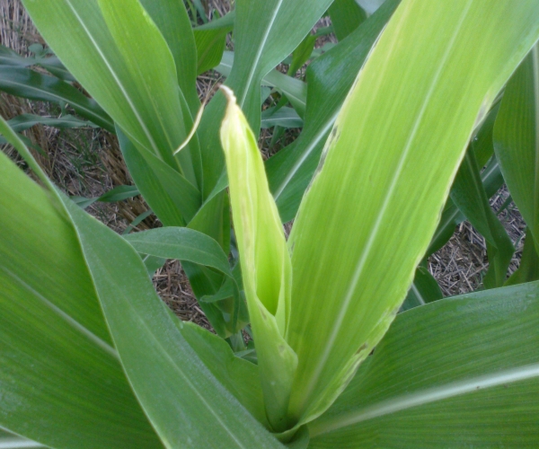  ����ݺ� 232019y3wyqyekvoqo2yhf