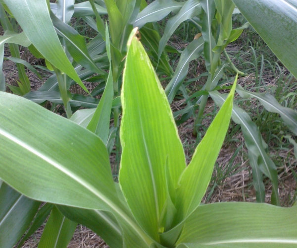  ����ݺ� 2326327ddldjfagjdjd7md