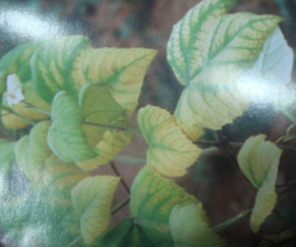  ����ݺ� forum