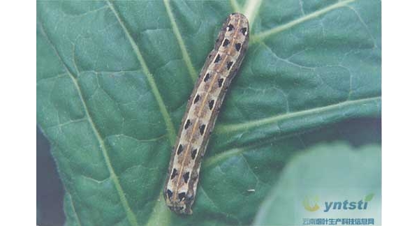  ����ݺ� forum