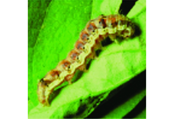  ����ݺ� forum