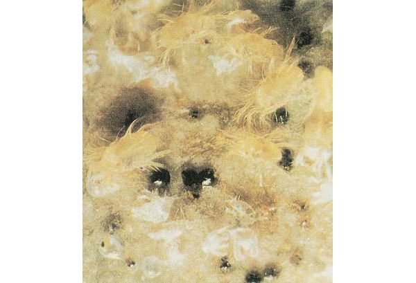  ����ݺ� forum