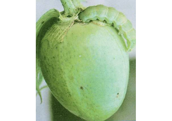  ����ݺ� forum