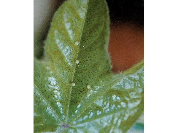  ����ݺ� forum