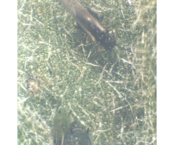  ����ݺ� forum