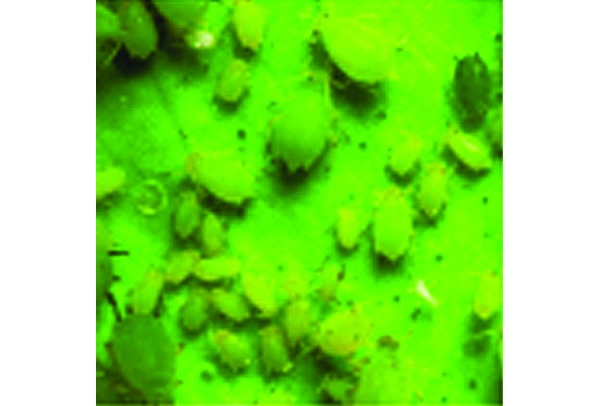  ����ݺ� forum