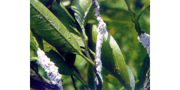  ����ݺ� forum