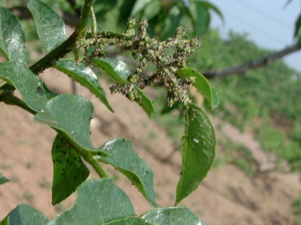  ����ݺ� forum