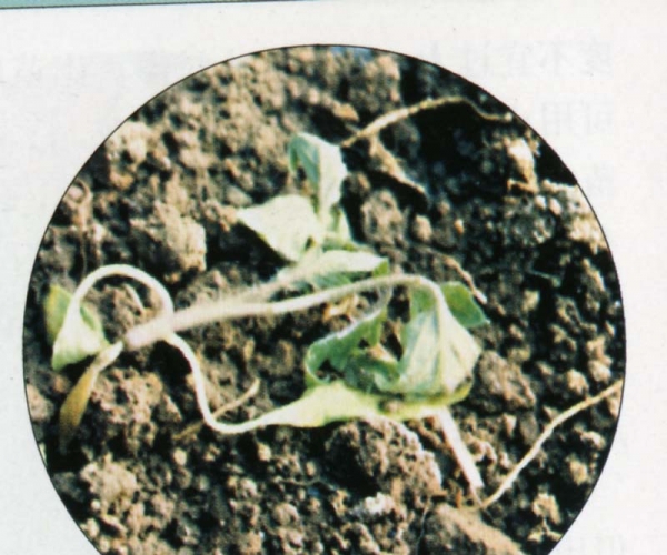  ����ݺ� forum