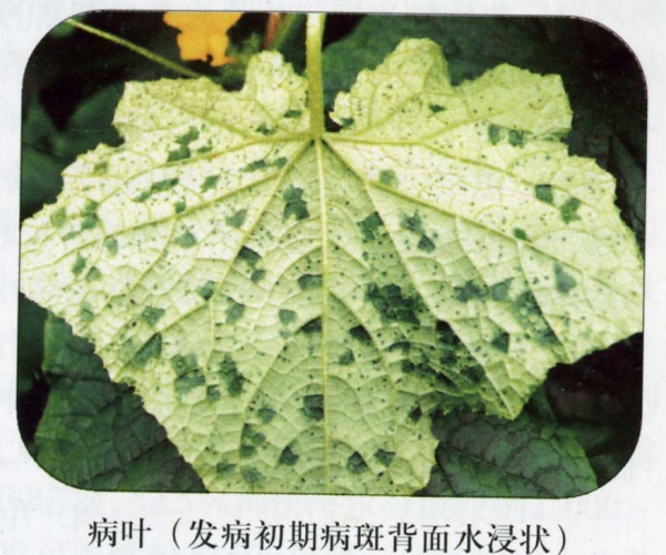  ����ݺ� forum