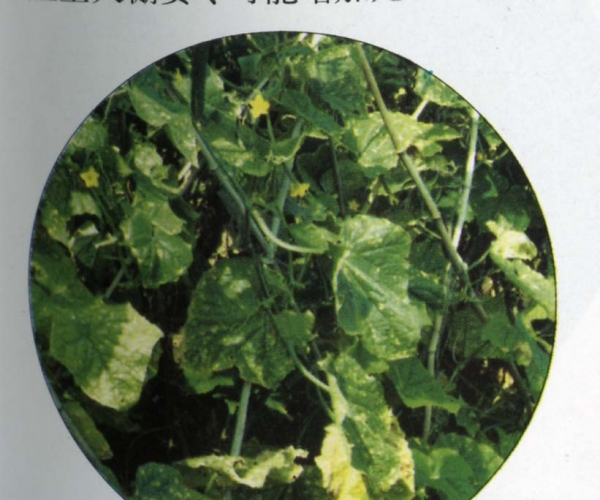  ����ݺ� forum