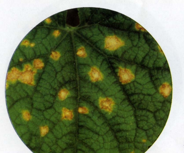  ����ݺ� forum